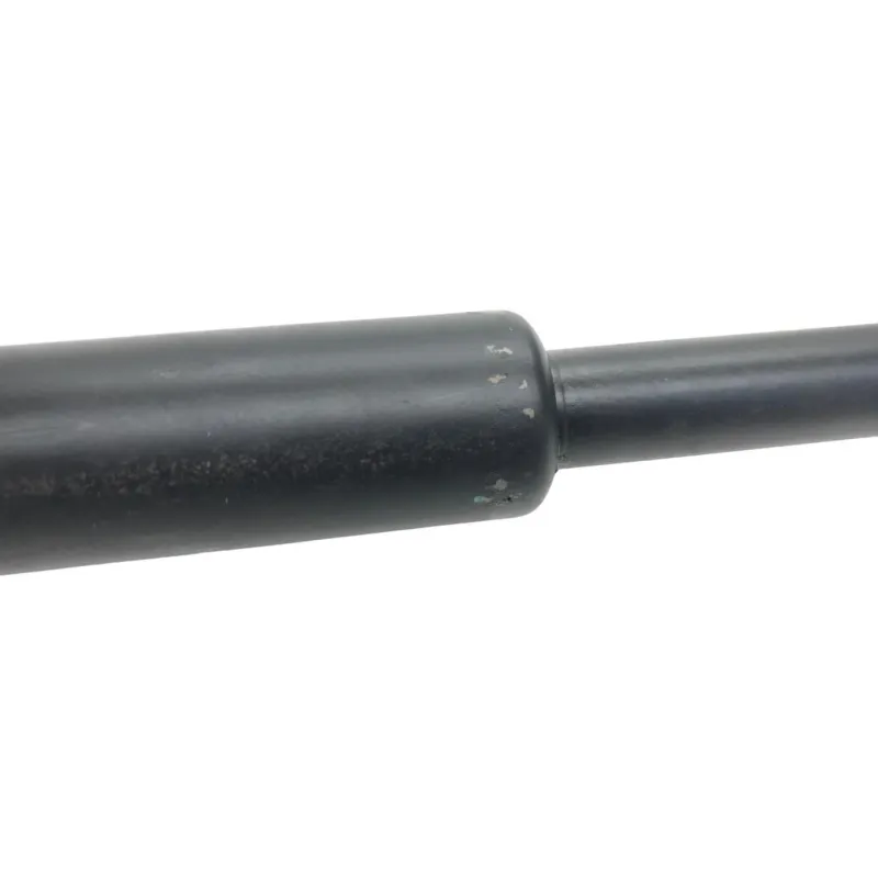 Cardan BMW R 1250 R 2019-2024