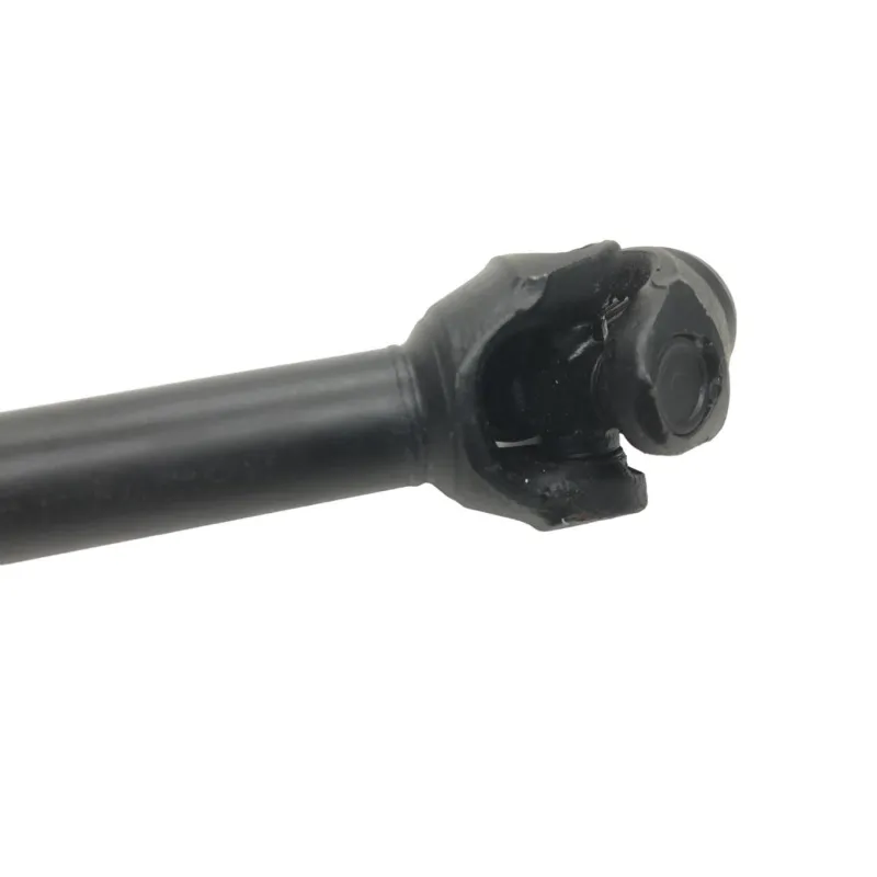 Cardan BMW R 1250 R 2019-2024