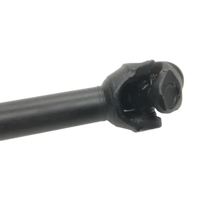 Cardan BMW R 1250 R 2019-2024