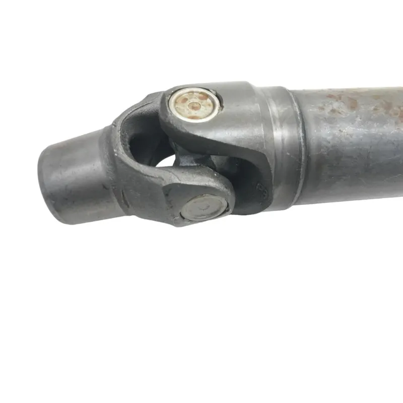 Cardan BMW R 1250 R 2019-2024