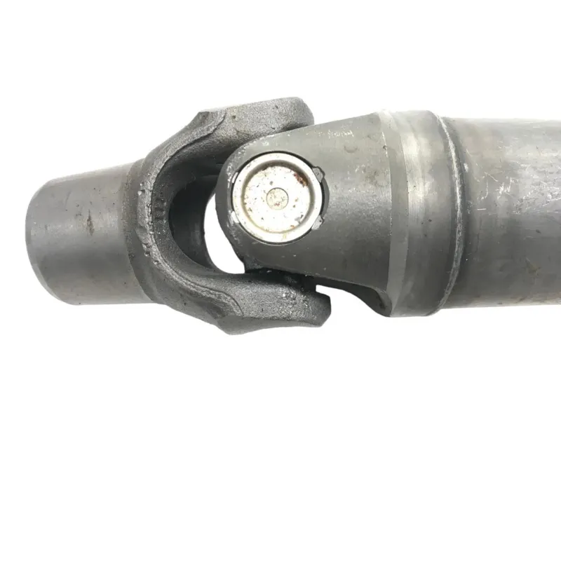 Cardan BMW R 1250 R 2019-2024