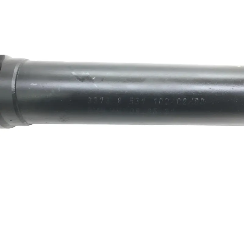 Cardan BMW R 1250 R 2019-2024