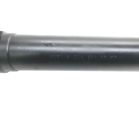 Cardan BMW R 1250 R 2019-2024