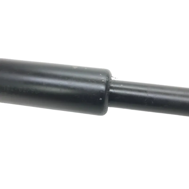 Cardan BMW R 1250 R 2019-2024