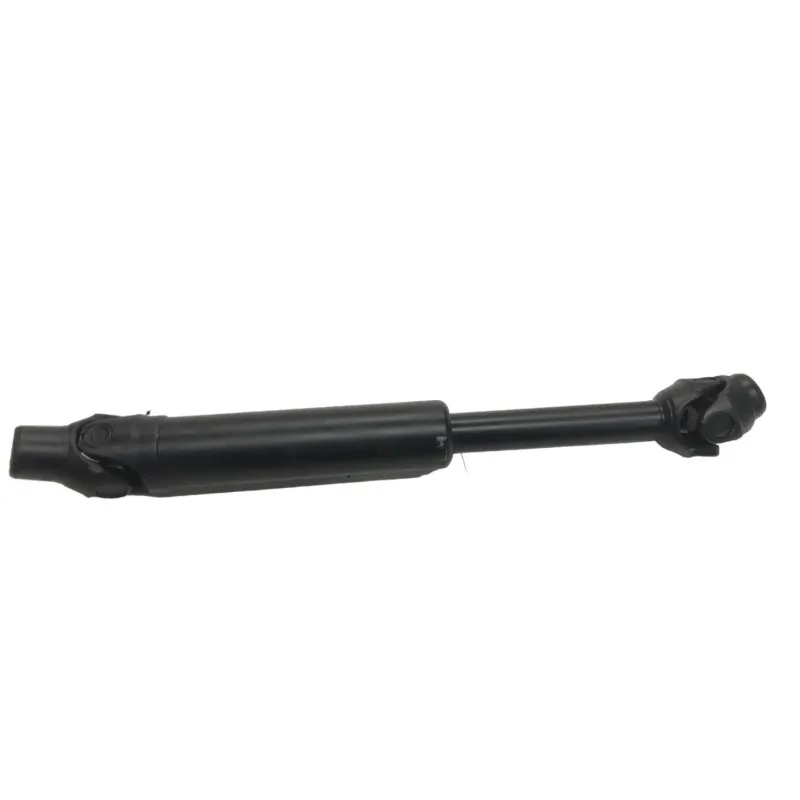 Cardan BMW R 1250 R 2019-2024