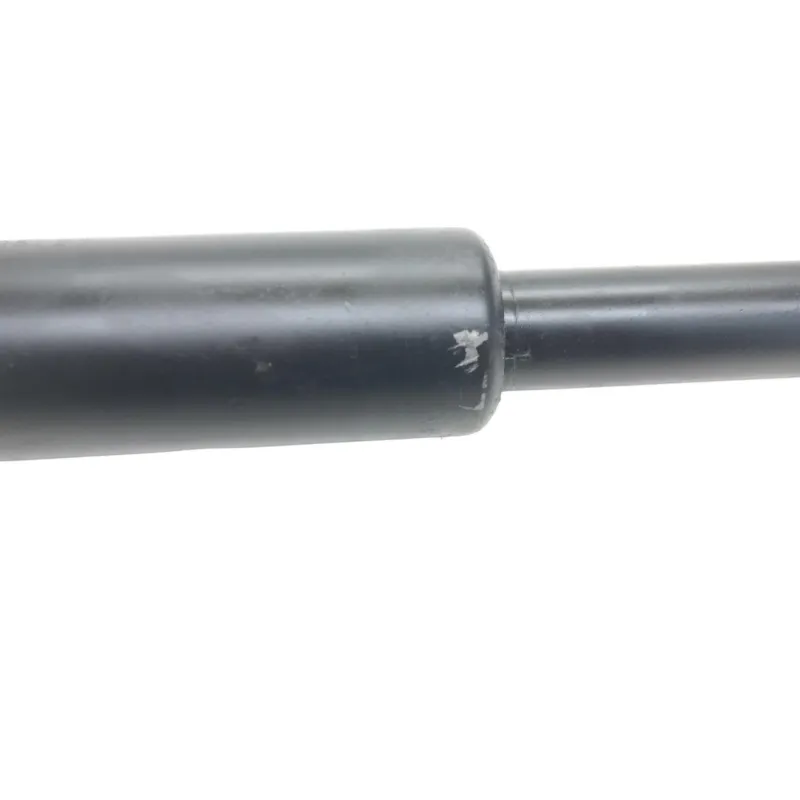 Cardan BMW R 1250 R 2019-2024