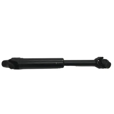 Cardan BMW R 1250 R 2019-2024