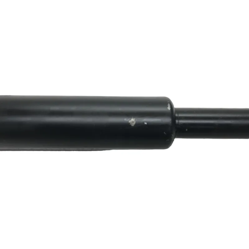 Cardan BMW R 1250 R 2019-2024