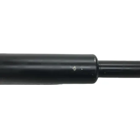 Cardan BMW R 1250 R 2019-2024