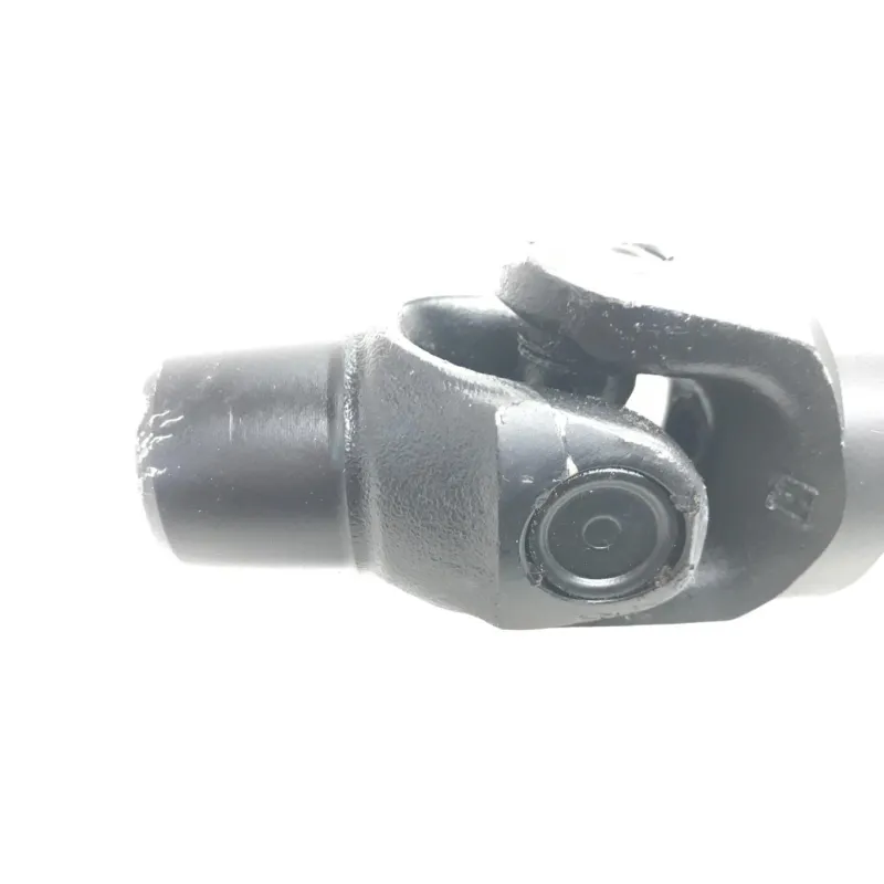 Cardan BMW R 1250 R 2019-2024