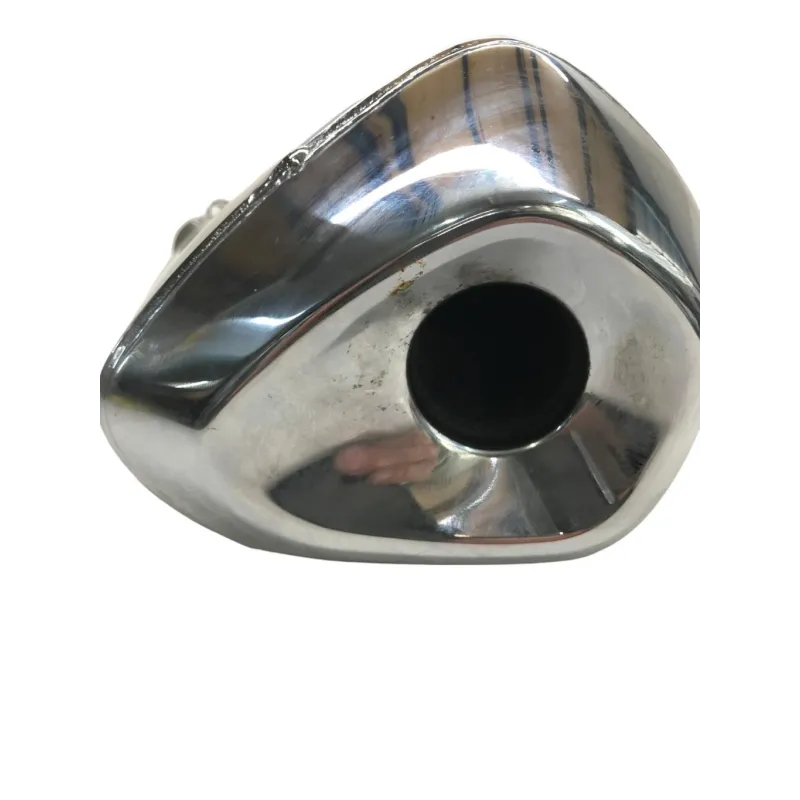 Silencieux (echappement) BMW R 1250 RT 2019-2024