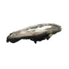 Optique avant gauche (feux)(phare) PEUGEOT SATELIS 125 2006-2008