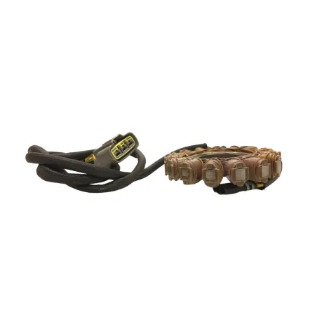 Stator alternateur DUCATI MULTISTRADA 1200 2013-2014 S TOURING