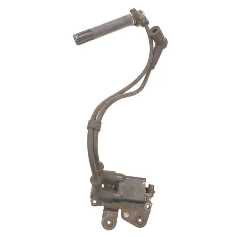 Bobine allumage DUCATI MULTISTRADA 1200 2013-2014 S TOURING