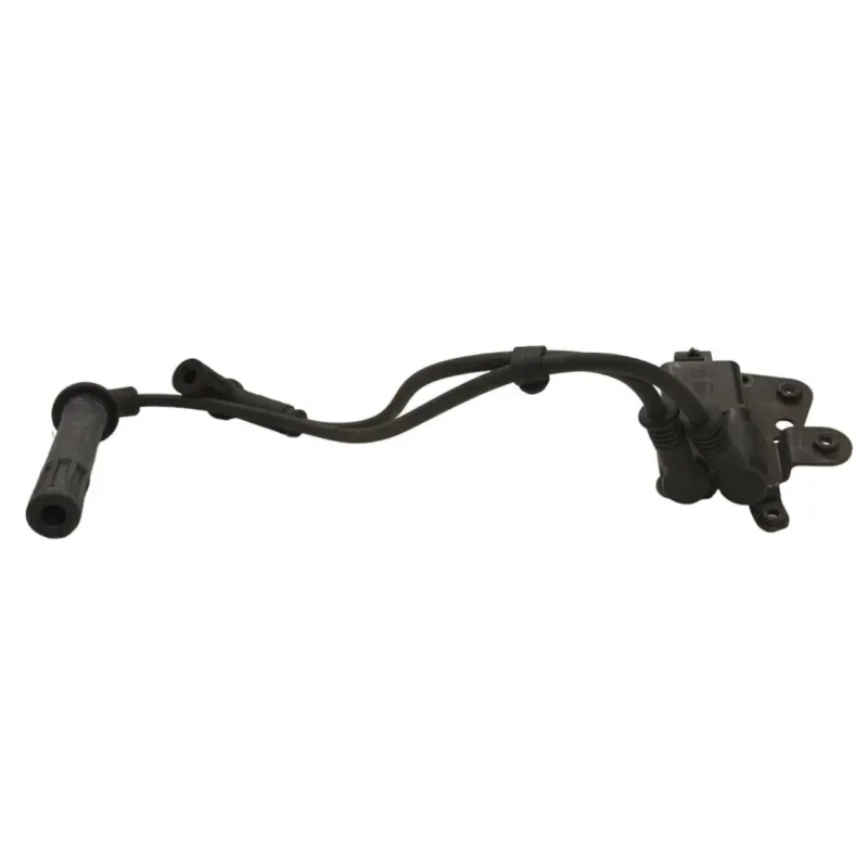 Bobine allumage DUCATI MULTISTRADA 1200 2013-2014 S TOURING