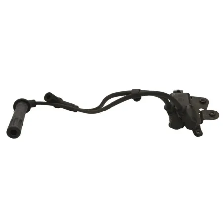 Bobine allumage DUCATI MULTISTRADA 1200 2013-2014 S TOURING