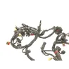 Faisceau electrique DUCATI MULTISTRADA 1200 2013-2014 S TOURING
