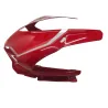 Cache carenage tete de fourche DUCATI PANIGALE 1299 S 2015-2017 Cache carenage tete de fourche DUCATI PANIGALE 1299 S 2015-2017