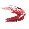 Cache carenage tete de fourche DUCATI PANIGALE 1299 S 2015-2017 Cache carenage tete de fourche DUCATI PANIGALE 1299 S 2015-2017