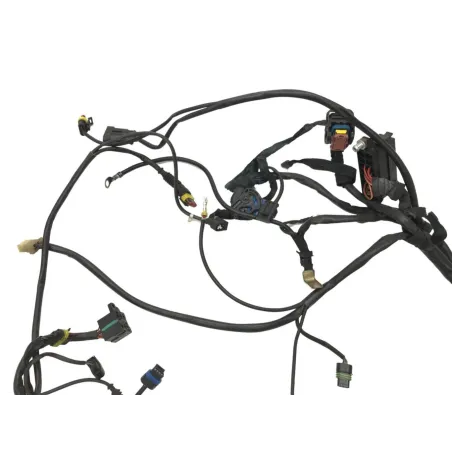 Faisceau electrique DUCATI MONSTER 1000 2006-2008 S2R