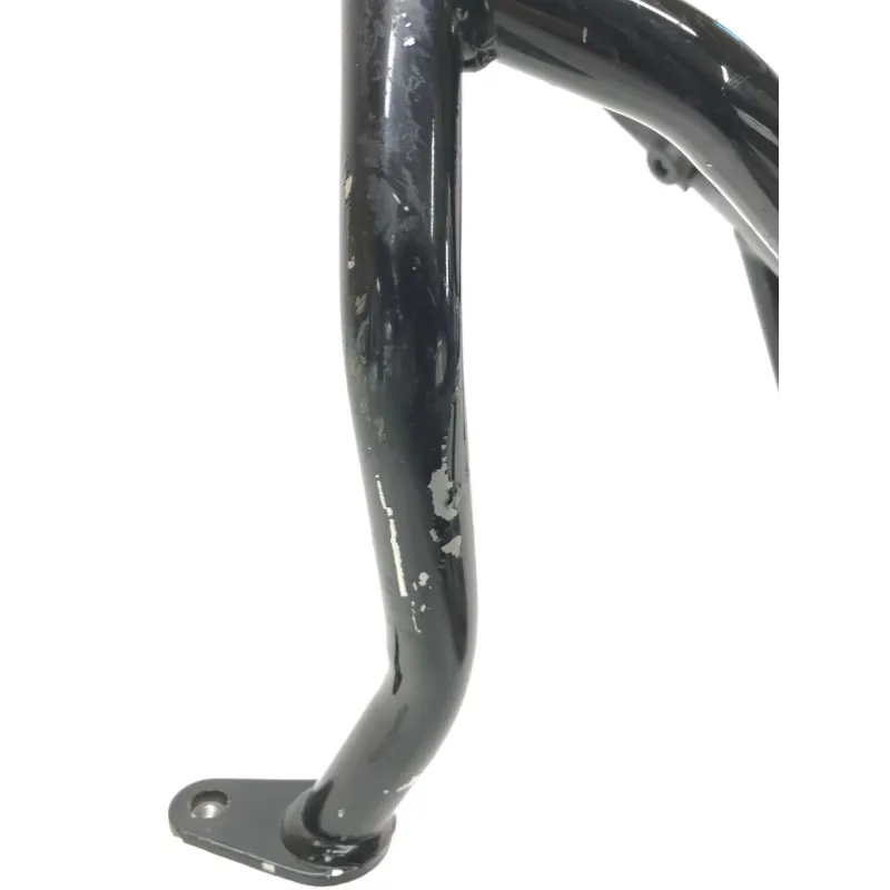 Pare carter moteur BMW R 1250 R 2019-2024