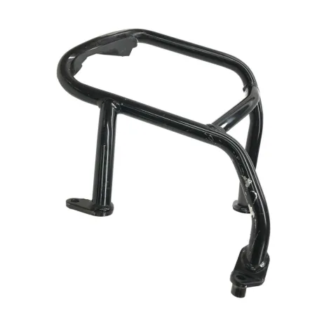 Pare carter moteur BMW R 1250 R 2019-2024