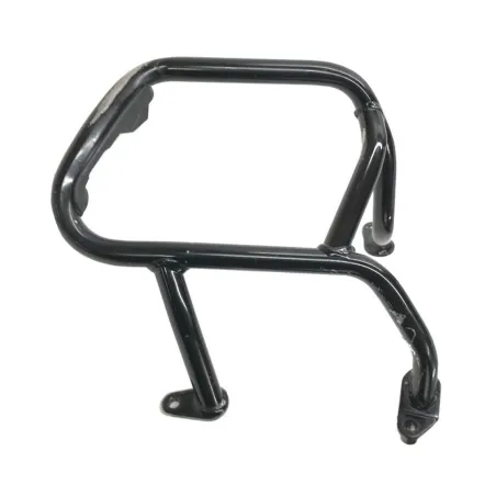 Pare carter moteur BMW R 1250 R 2019-2024