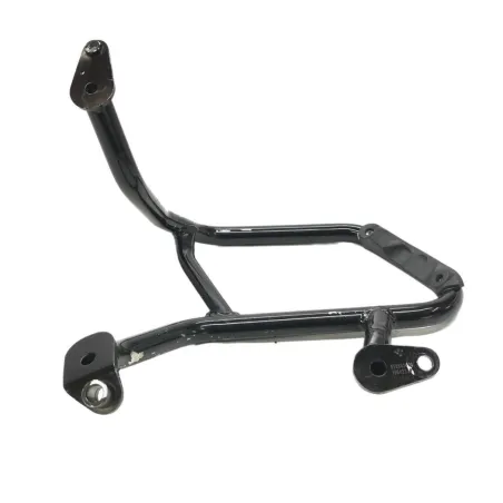 Pare carter moteur BMW R 1250 R 2019-2024