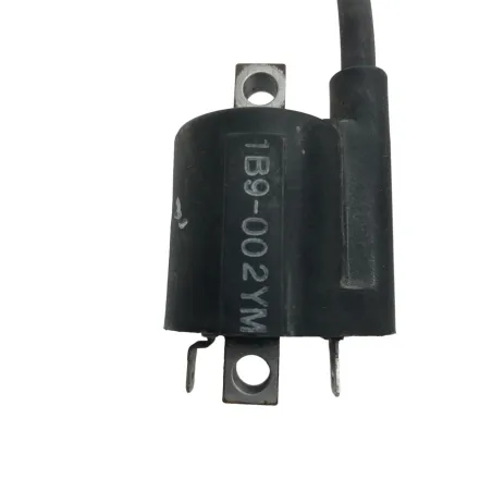 Bobine allumage YAMAHA YPR 125 2006-2009 XMAX