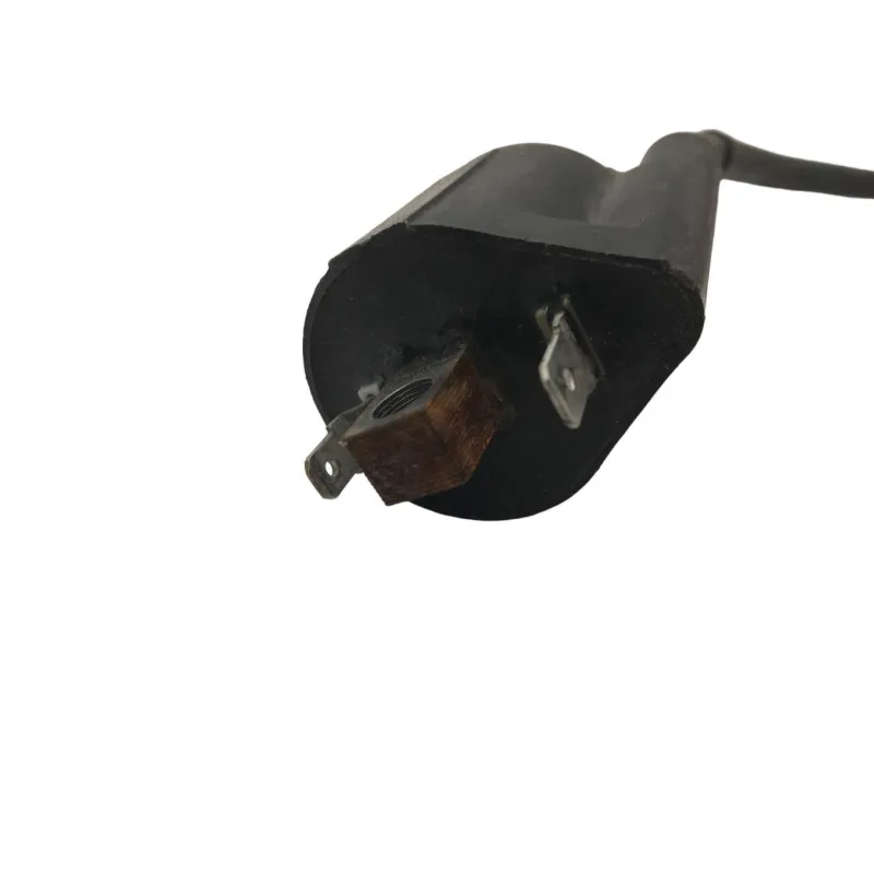 Bobine allumage YAMAHA YPR 125 2006-2009 XMAX