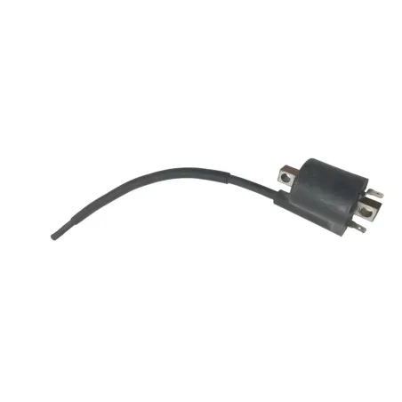 Bobine allumage YAMAHA YPR 125 2006-2009 XMAX