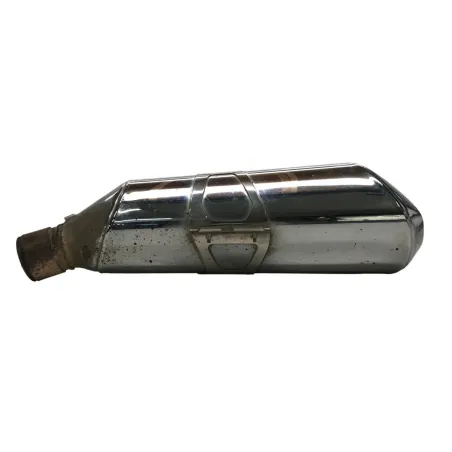 Silencieux (echappement) BMW R 1250 R 2019-2024