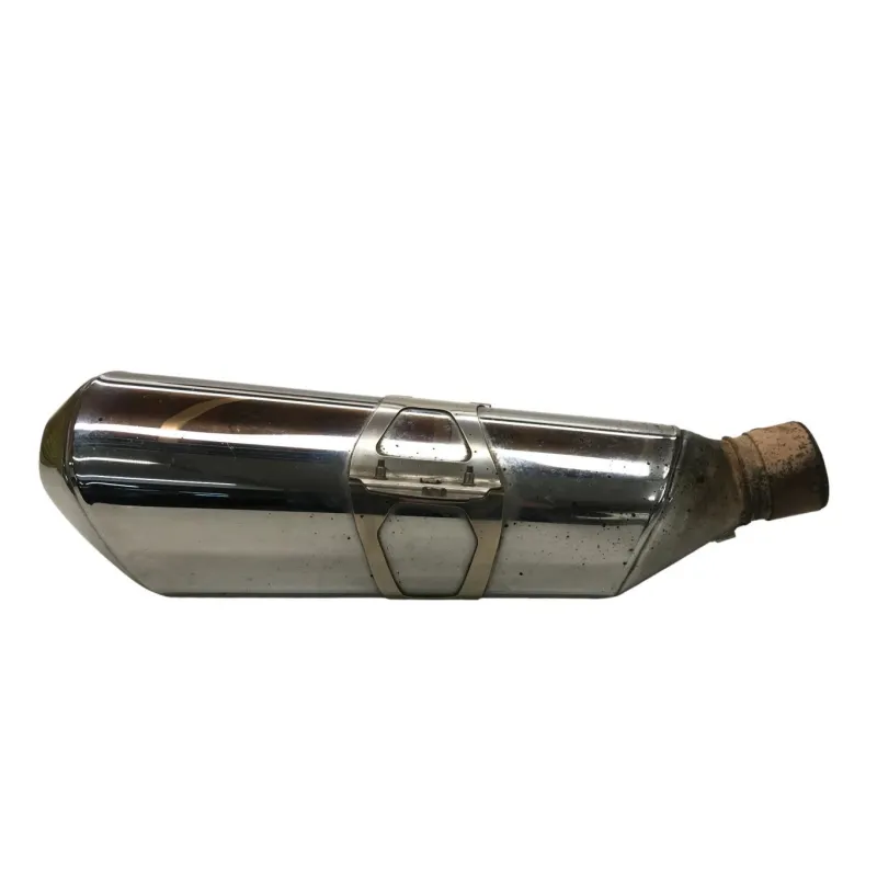 Silencieux (echappement) BMW R 1250 R 2019-2024
