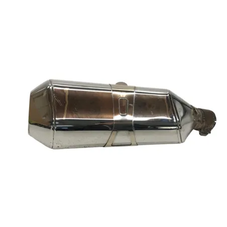 Silencieux (echappement) BMW R 1250 R 2019-2024