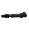 Bobine allumage crayon TRIUMPH DAYTONA 675 2006-2008 Bobine allumage crayon TRIUMPH DAYTONA 675 2006-2008