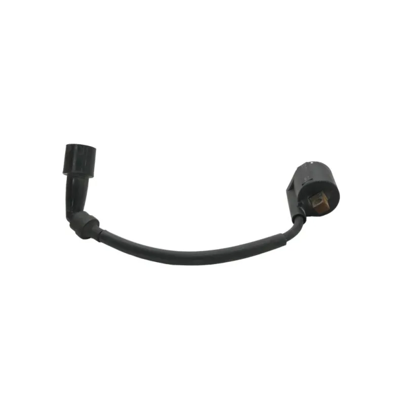 Bobine allumage YAMAHA YPR 125 2014-2017 X-MAX