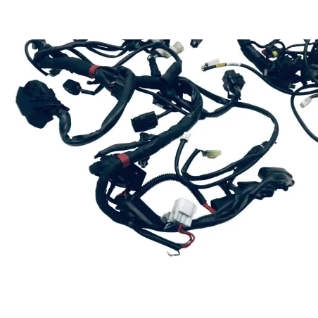 Faisceau electrique DUCATI MULTISTRADA 1200 2014 TOURING D-AIR