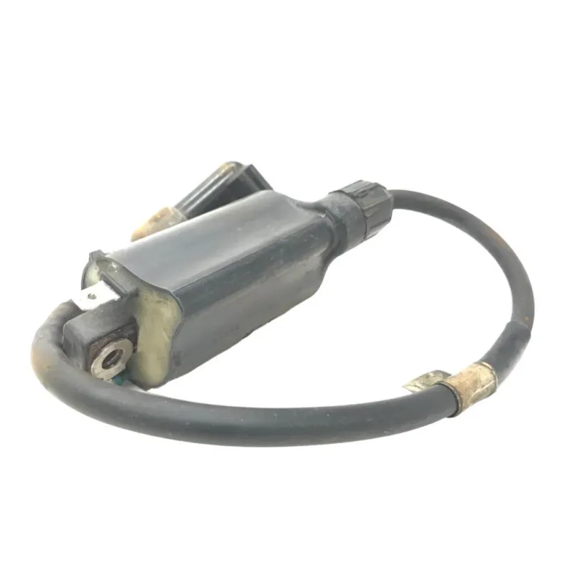 Bobine allumage HONDA NSS 250 2001-2004 JAZZ