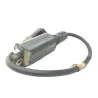 Bobine allumage HONDA NSS 250 2001-2004 JAZZ