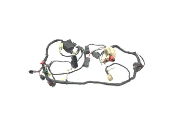 Faisceau electrique HONDA NSS 250 2001-2004 JAZZ