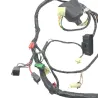 Faisceau electrique HONDA NSS 250 2001-2004 JAZZ