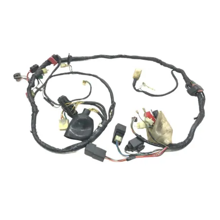 Faisceau electrique HONDA NSS 250 2001-2004 JAZZ