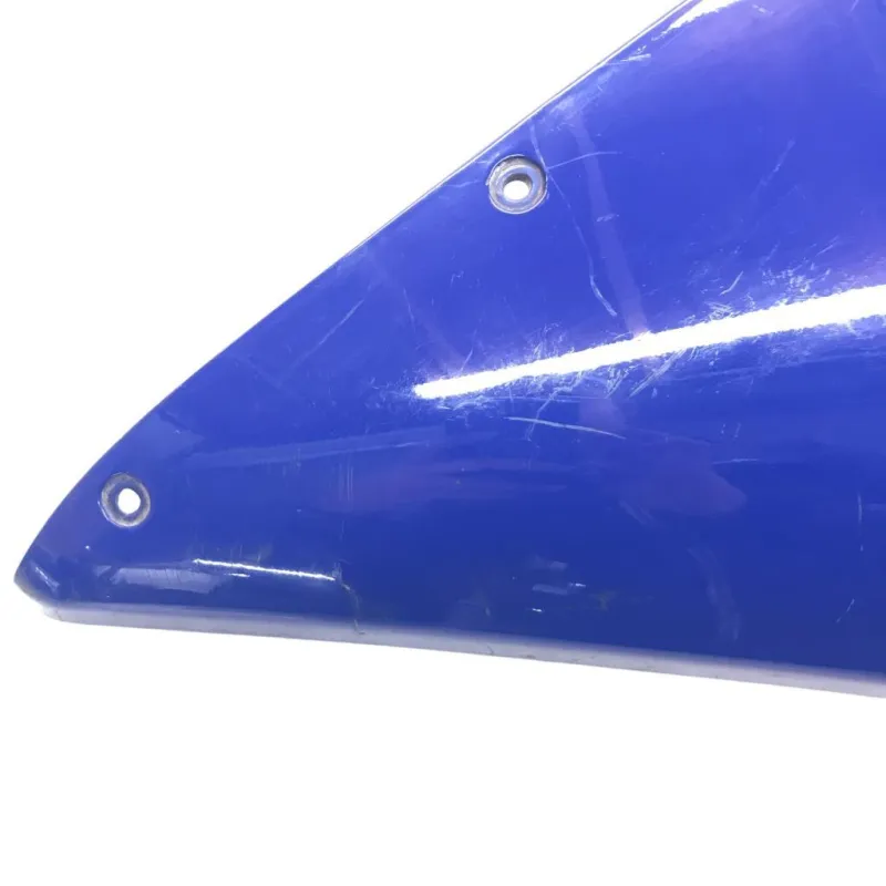 Cache flanc de carenage gauche BMW R 1100 RS 1994-2001