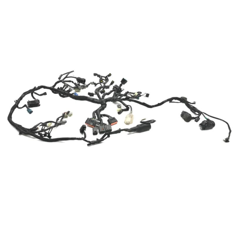 Faisceau electrique KAWASAKI Z 900 2018-2019 A2