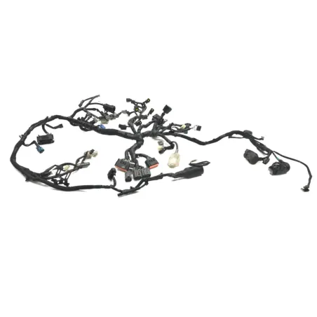 Faisceau electrique KAWASAKI Z 900 2018-2019 A2