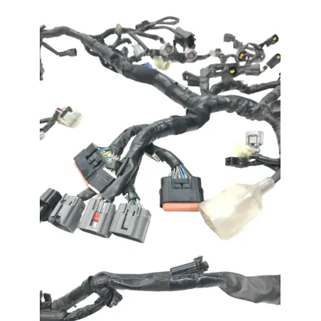 Faisceau electrique KAWASAKI Z 900 2018-2019 A2