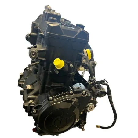 Moteur YAMAHA YZF 320 2019-2023 R3