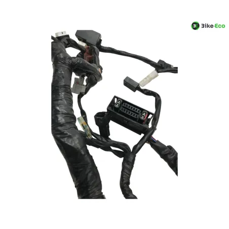 Faisceau electrique YAMAHA YZF 320 2019-2023 R3