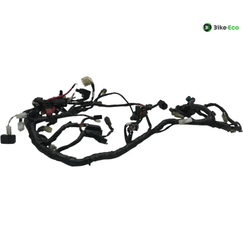 Faisceau electrique YAMAHA YZF 320 2019-2023 R3