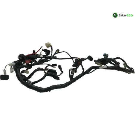 Faisceau electrique YAMAHA YZF 320 2019-2023 R3